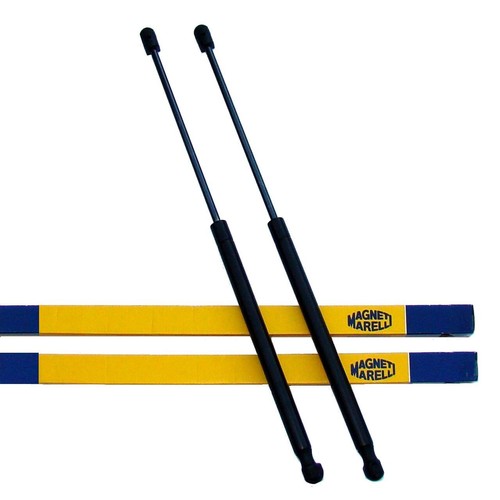 Ammortizzatore gas - 2x, a
